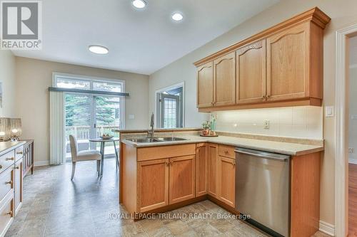 533 Mcgarrell Place, London, ON - Indoor Photo Showing Kitchen With Double Sink