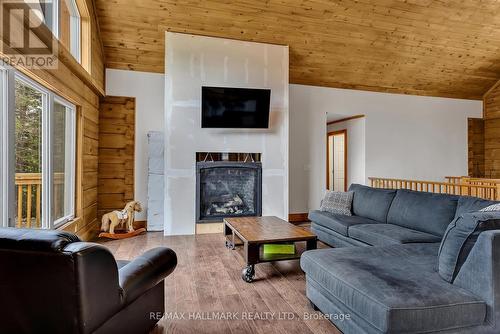 511 Brethour Road, Hastings Highlands, ON - Indoor Photo Showing Living Room With Fireplace