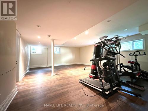 16 Brian Cliff Drive, Toronto, ON - Indoor Photo Showing Gym Room