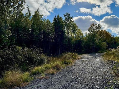 Lot 1 & 2 Moose Lane, Upper Nine Mile River, NS 