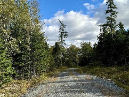 Lot 1 & 2 Moose Lane, Upper Nine Mile River, NS 