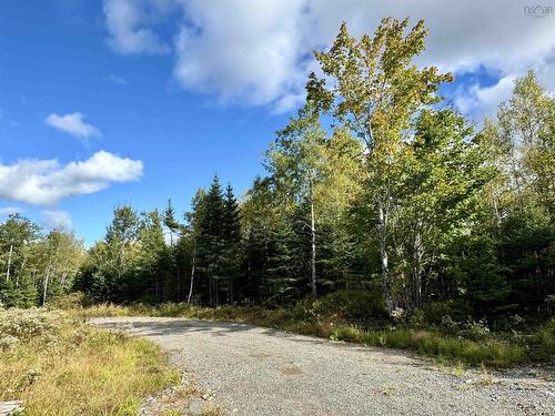 Lot 1 & 2 Moose Lane, Upper Nine Mile River, NS 