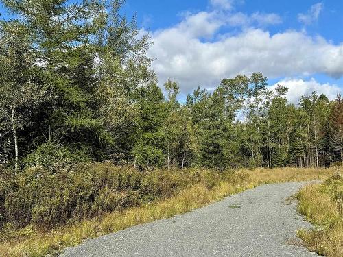 Lot 1 & 2 Moose Lane, Upper Nine Mile River, NS 