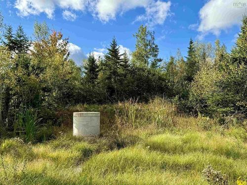 Lot 1 & 2 Moose Lane, Upper Nine Mile River, NS 