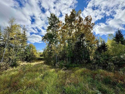 Lot 1 & 2 Moose Lane, Upper Nine Mile River, NS 