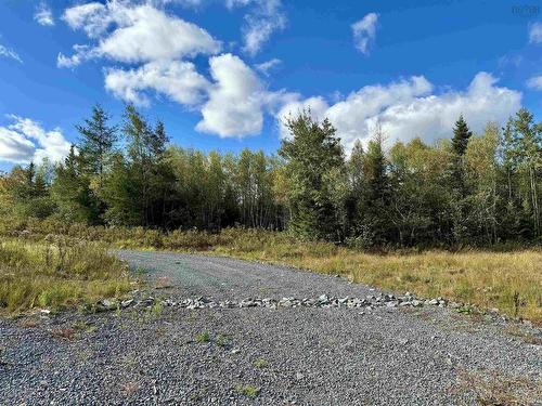 Lot 1 & 2 Moose Lane, Upper Nine Mile River, NS 