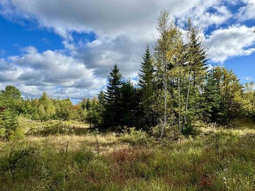 Lot 1 & 2 Moose Lane, Upper Nine Mile River, NS 