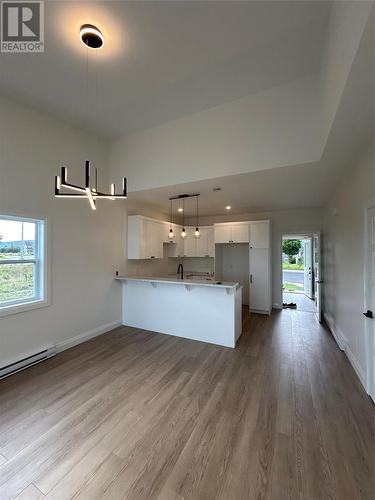 60 Welland Street, St. John'S, NL - Indoor Photo Showing Kitchen