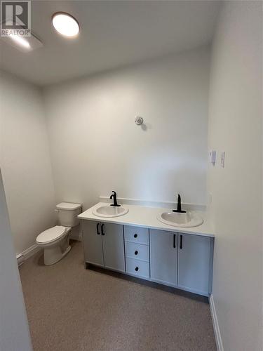 60 Welland Street, St. John'S, NL - Indoor Photo Showing Bathroom