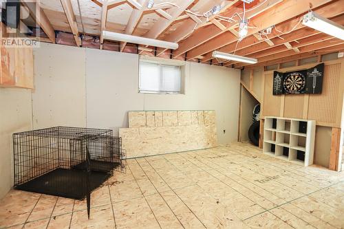 3 Briarwood Place, St. John'S, NL - Indoor Photo Showing Basement