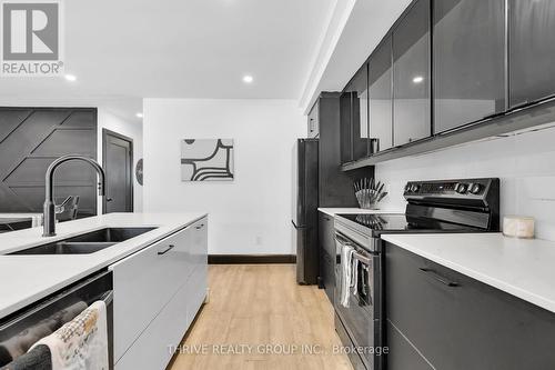 59 Patience Crescent, London, ON - Indoor Photo Showing Kitchen With Double Sink With Upgraded Kitchen