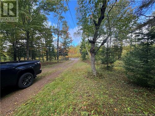 578 Bronson Settlement Road, Redbank, NB - Outdoor