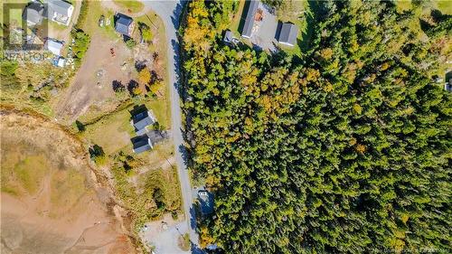 Crow Island Road, Chance Harbour, NB 