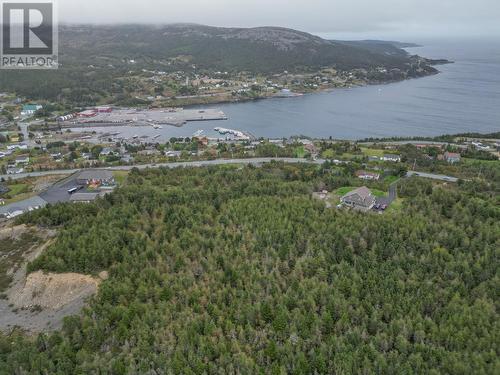 714-724 Southern Shore Highway, Bay Bulls, NL 