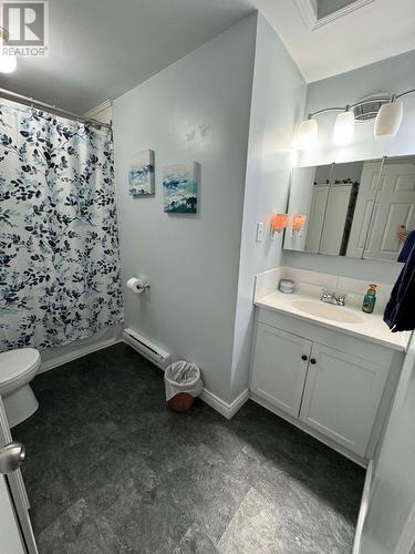 12 Cabot Crescent, Happy Valley-Goose Bay, NL - Indoor Photo Showing Bathroom