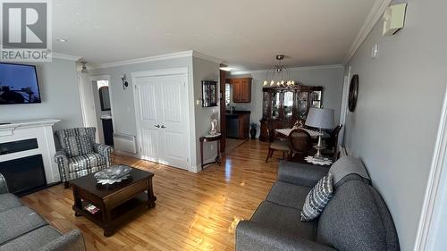 6 Tompkins Avenue, Stephenville, NL - Indoor Photo Showing Living Room With Fireplace