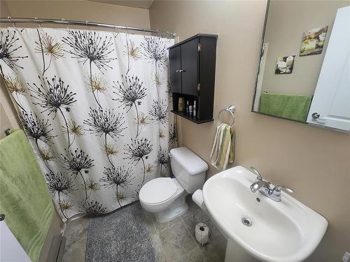 303 1683 Plessis Road, Winnipeg, MB - Indoor Photo Showing Bathroom