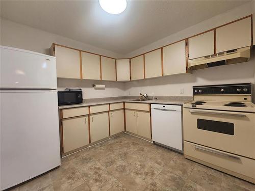 303 1683 Plessis Road, Winnipeg, MB - Indoor Photo Showing Kitchen