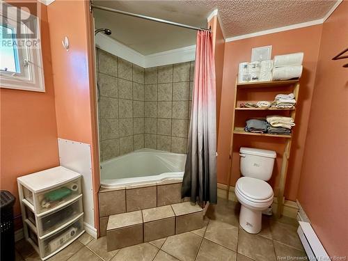 41 Bayberry Street, Fredericton, NB - Indoor Photo Showing Bathroom