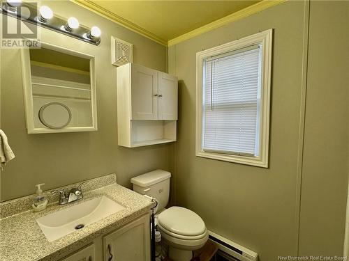 41 Bayberry Street, Fredericton, NB - Indoor Photo Showing Bathroom