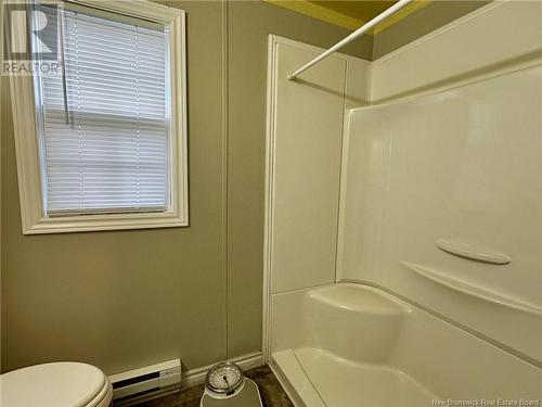 41 Bayberry Street, Fredericton, NB - Indoor Photo Showing Bathroom