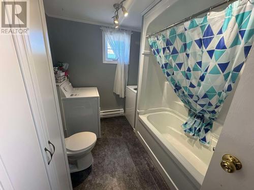 8 Davis Crescent, Happy Valley-Goose Bay, NL - Indoor Photo Showing Bathroom