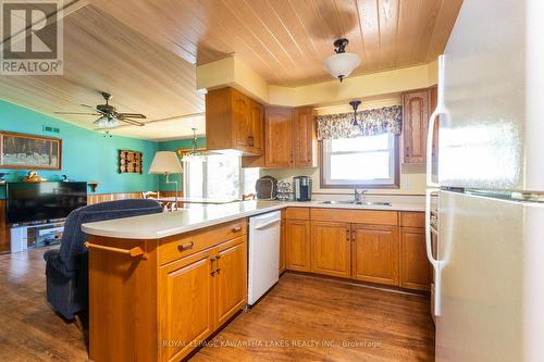 28 Miller Road, Kawartha Lakes, ON - Indoor Photo Showing Kitchen With Double Sink