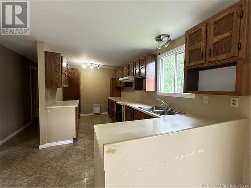 14 St-Onge Street, Saint-Jacques, NB - Indoor Photo Showing Kitchen With Double Sink