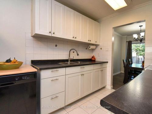 141-141 Fleetwood Cres, Brampton, ON - Indoor Photo Showing Kitchen With Double Sink