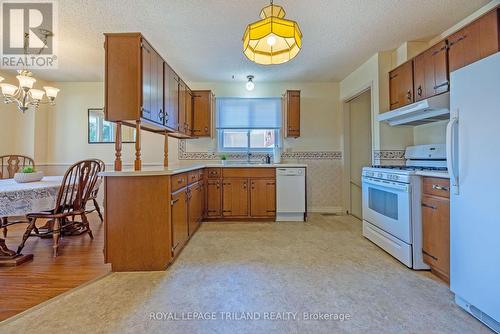 49 David Drive, St. Thomas, ON - Indoor Photo Showing Kitchen