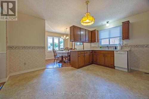 49 David Drive, St. Thomas, ON - Indoor Photo Showing Kitchen