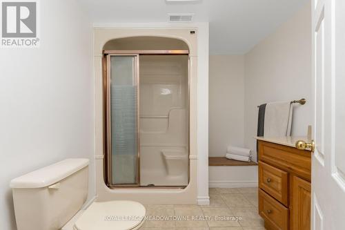 138 Elizabeth Drive, Halton Hills, ON - Indoor Photo Showing Bathroom