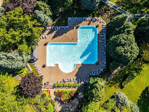 Piscine - 1606-100 Rue Berlioz, Montréal (Verdun/Île-Des-Soeurs), QC - Outdoor