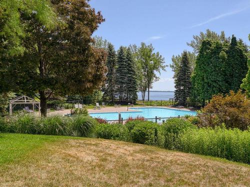 Piscine - 1606-100 Rue Berlioz, Montréal (Verdun/Île-Des-Soeurs), QC - Outdoor With In Ground Pool