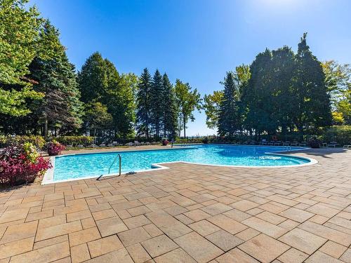 Piscine - 1606-100 Rue Berlioz, Montréal (Verdun/Île-Des-Soeurs), QC - Outdoor With In Ground Pool With Backyard