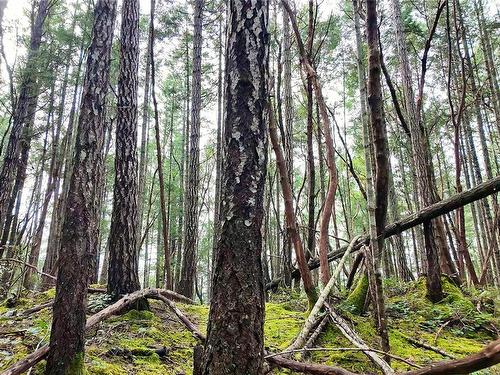 Lt 15 Coats Dr, Gabriola Island, BC 