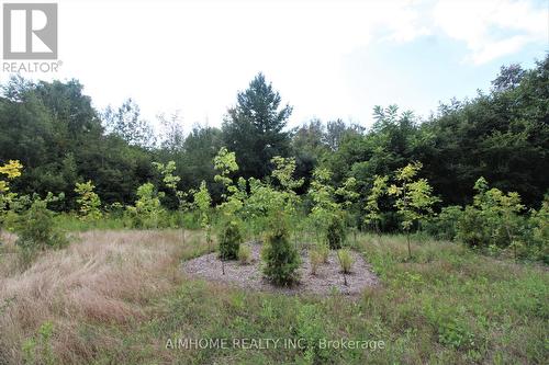 151 Bridgepointe Court, Aurora, ON - Outdoor With View