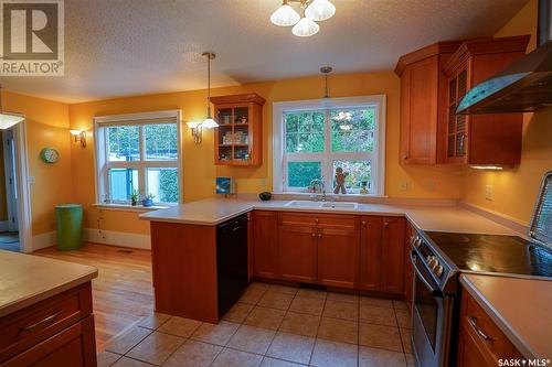 719 9Th Avenue N, Saskatoon, SK - Indoor Photo Showing Kitchen With Double Sink