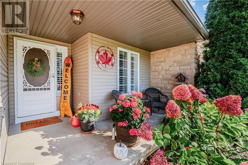 covered front poarch - 310 Lanark Street, Caledonia, ON - Outdoor With Deck Patio Veranda