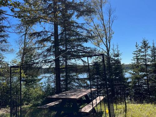 Cour - 396 Lac Pigeon, Laverlochère-Angliers, QC - Outdoor With View