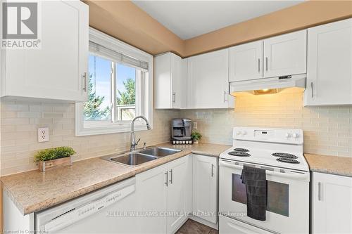 20 Slater Court, Hamilton, ON - Indoor Photo Showing Kitchen With Double Sink