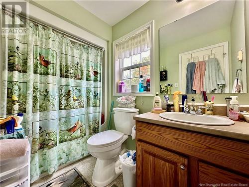 134 Upper Tower Hill Road, Tower Hill, NB - Indoor Photo Showing Bathroom