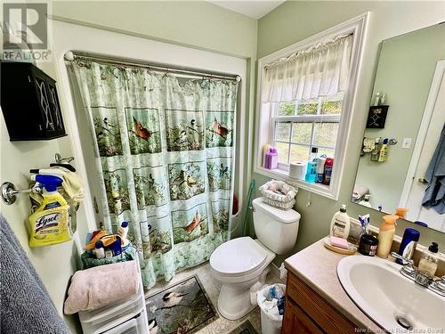 134 Upper Tower Hill Road, Tower Hill, NB - Indoor Photo Showing Bathroom