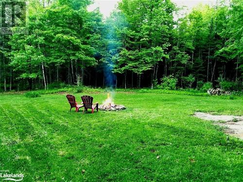 Back yard - 1571 Buckslide Road, Algonquin Highlands, ON - Outdoor