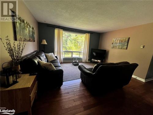 Open Concept Living room - 1571 Buckslide Road, Algonquin Highlands, ON - Indoor Photo Showing Living Room