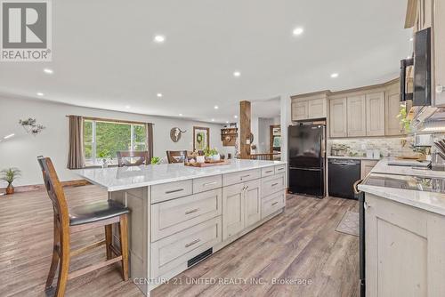 1551 County Rd 6, Douro-Dummer, ON - Indoor Photo Showing Kitchen With Upgraded Kitchen