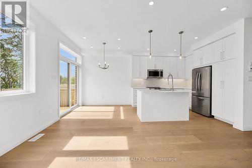 35 Kingfisher Drive, Hamilton, ON - Indoor Photo Showing Kitchen With Upgraded Kitchen