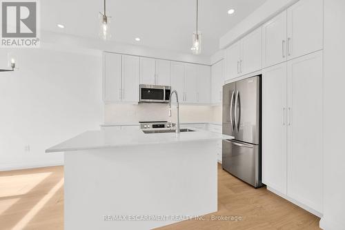 35 Kingfisher Drive, Hamilton, ON - Indoor Photo Showing Kitchen With Double Sink With Upgraded Kitchen