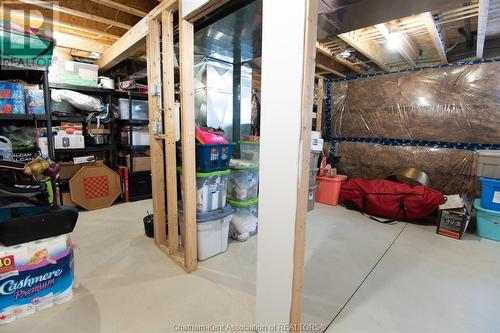 296 Davies Street East, Dresden, ON - Indoor Photo Showing Basement