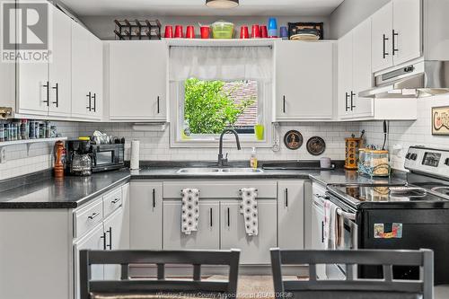 3577 King Street, Windsor, ON - Indoor Photo Showing Kitchen With Double Sink